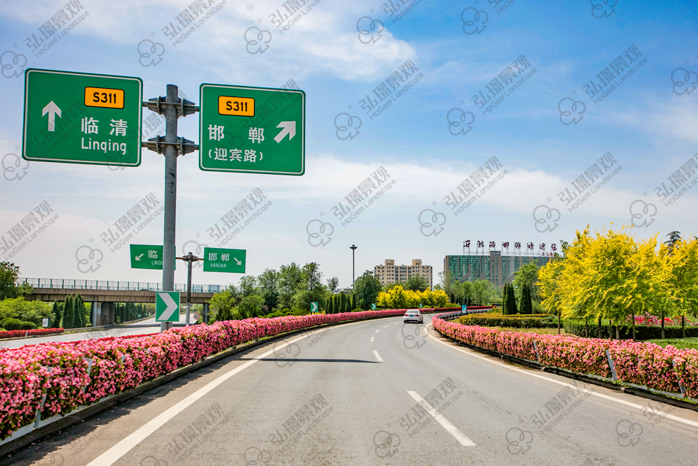 河北邯郸建党百年花卉景观项目(图5)